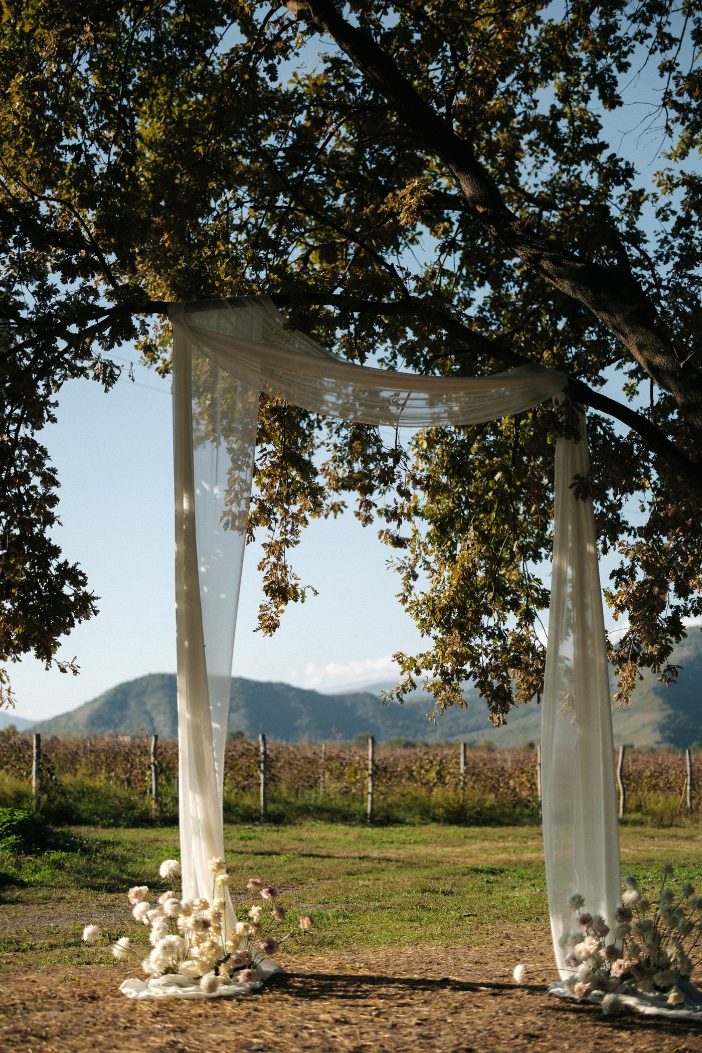 Ivory silk draped from an oak branch, framed by pale floral installations
