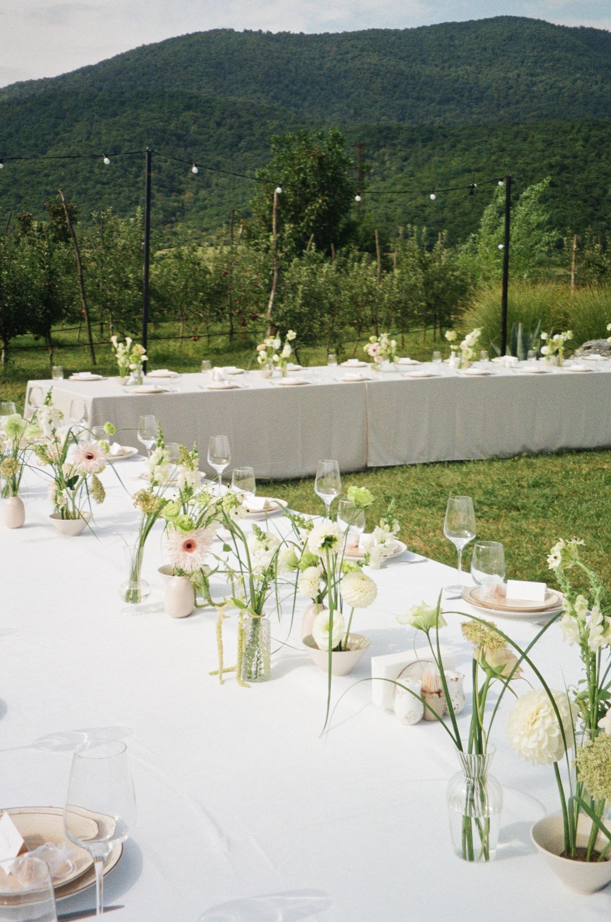Long table with white flowers set in the mountains
